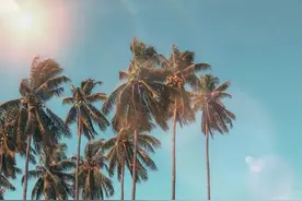 诗词丨唐人爱春，宋人爱夏，夏天的宋词最为经典图片