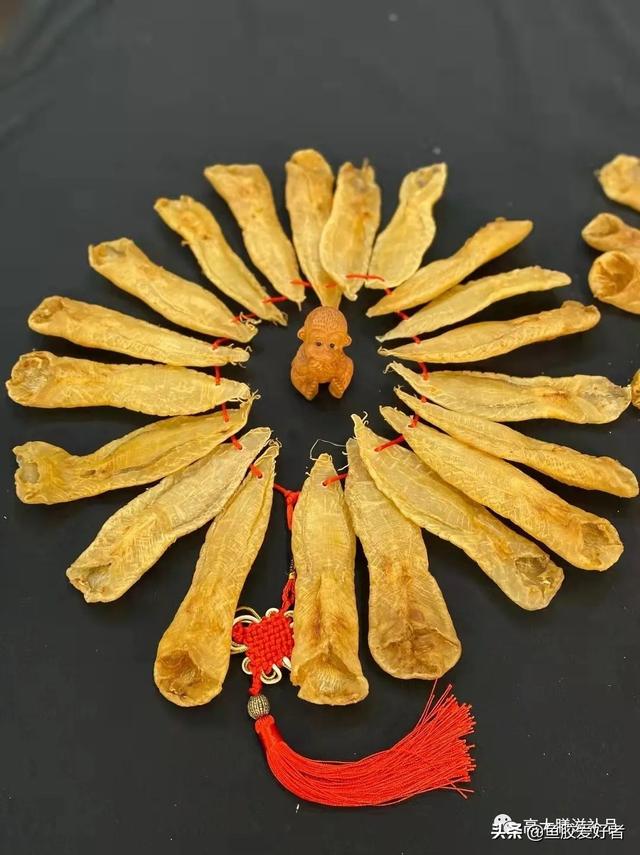 花胶生的还是盐炒的好 花胶生的还是盐炒的好一点