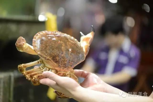 花胶选几级的 花胶等级顺序鱼胶排名大全