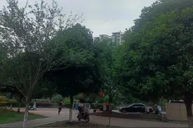 不论你多优秀，总有人喜欢你，总有人不喜欢图片