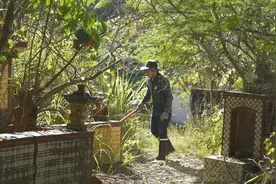 广东梅州籍老兵林新章（林高平）在台湾孤独离世，长眠高雄市茂雄墓园，静待亲人祭拜图片