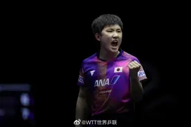 张本智和，韩莹，单晓娜，成都世乒赛这些知名外协其实都是华裔图片