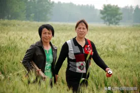 大哥病世后，小叔子迎娶了嫂子，这门不当户不对的婚姻结局如何？图片