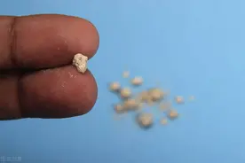 9种常见泌尿结石中成药及其适应症，可供参考图片