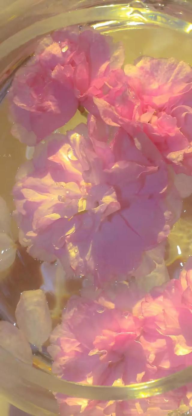 恋爱表白的甜蜜情话文案