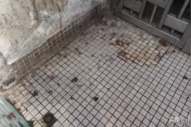 旺角男当街被扑头浴血，港警拘一人施袭动机待查图片