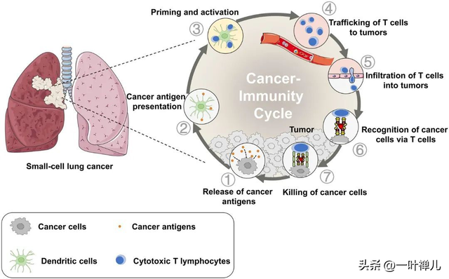 72岁肿瘤专家：赴美抗癌两年离世，临终前的2个“后悔”引人深思