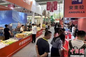 第九届丝博会西安开幕 丝路客商共绘合作新篇图片