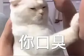 据说，在我国平均每4个人里，就有1个有口臭图片
