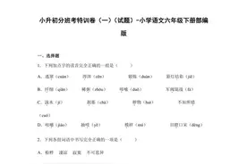 小升初分班特训试题（一）小学语文六年级下册部编版图片