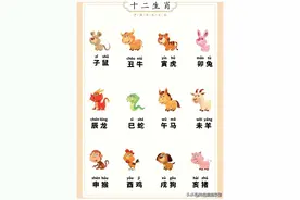 十二生肖的寓意，十二生肖代表的性格。涨见识了图片