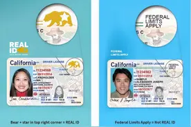 美国驾照上的重要标识，这件事儿不能再等了图片