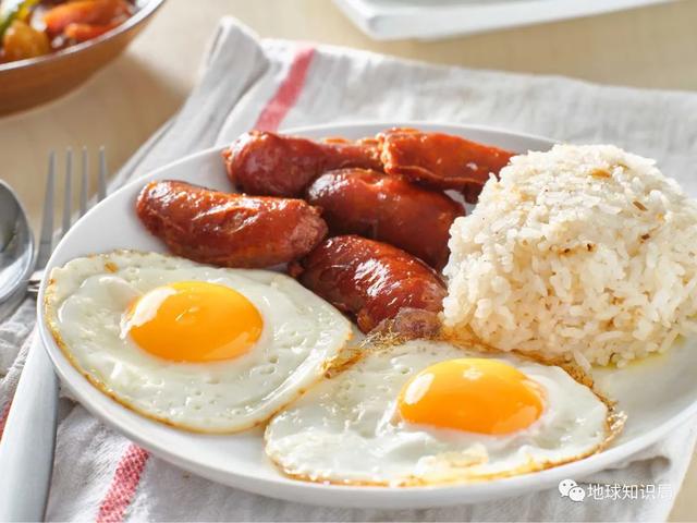 这种低端食材，战时你高攀不起｜地球知识局