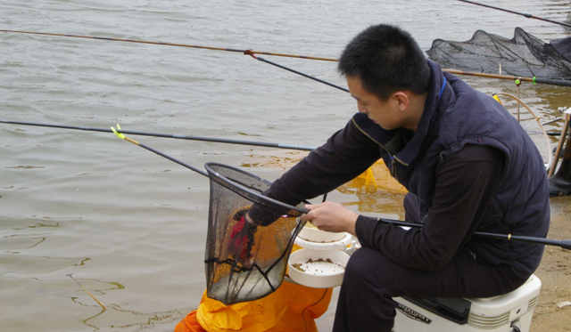 使用钓鱼添加剂不要只盯着小药，这些生活常见品效果更好
