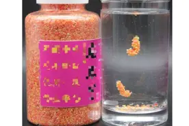 遇到小鱼闹窝怎么办？分享两款避杂鱼的饵料图片