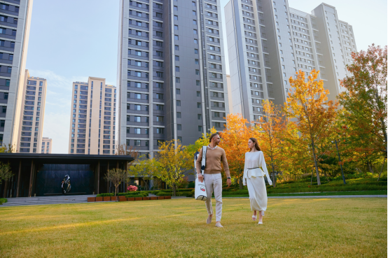 一组实景大片引热议，青岛魅力再出圈