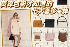 「大牌科普」比爱马仕还牛的七大箱包老牌图片