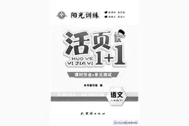 《阳光训练活页1+1》二年级课时作业（共73页可收藏打印）图片