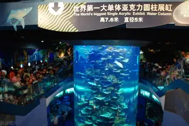 青岛海底世界预约介绍图片