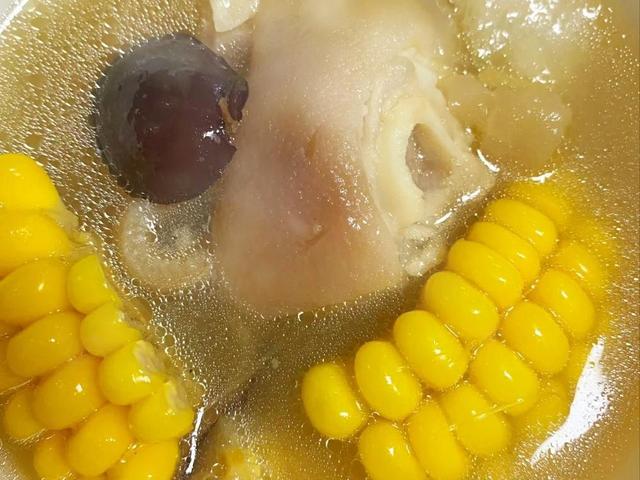 喝花胶乌鸡汤 可以吃白萝卜吗 2026年花胶可以和乌鸡一起煲汤吗