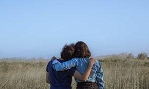 团队建设方案策划，企业网站建设策划方案怎样撰写