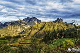 楠溪江这条让人沉醉其中，流连忘返的古道，绝大多人都还不知道图片