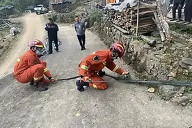 眼镜王蛇闯进老奶奶家中，毒性强烈，用雄黄驱蛇有用吗？图片