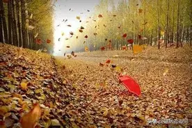 10首恋人之间盼望相见的诗词：思君念君不见君，伊人心事无人懂图片