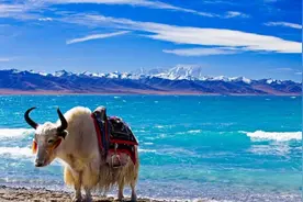 去西藏必须知道的三大禁忌，你知道吗？图片