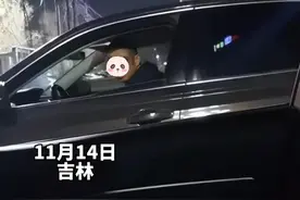 女子等红灯时碰到老公，两人相视一眼尴尬了：各玩各的谁也别拆穿图片