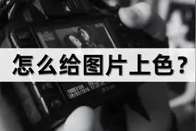 怎么给图片上色？学会给图片上色！图片