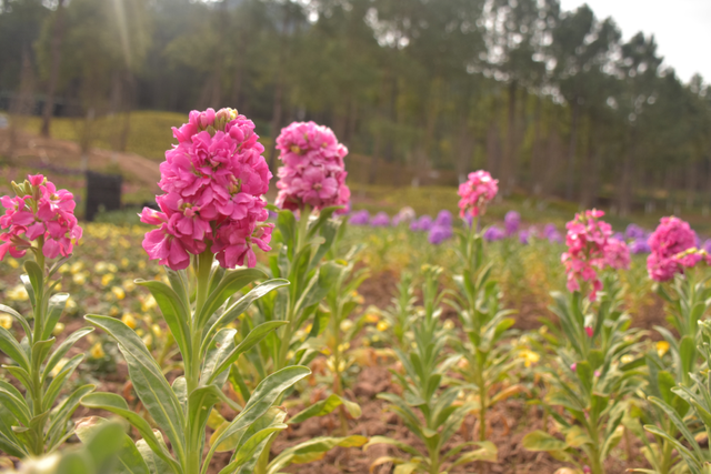 四川省民生研究会新媒体中心-官网