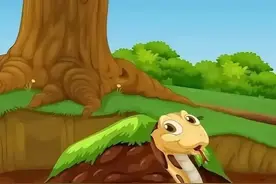 蛇有哪些弱点？在野外遇到蛇该如何自救？绝不是打蛇那么简单图片