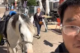 山东小伙欧洲买马骑回国，半年走了2500公里，预计明年抵达老家图片