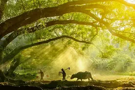 看懂了五行，你就领悟了中国人的天地人生图片