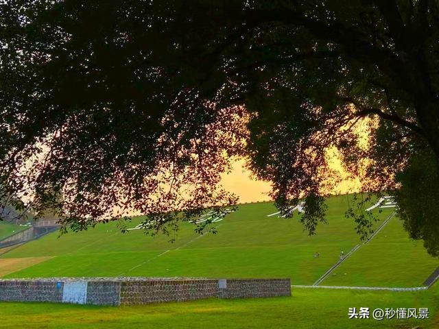 广州原始森林大氧吧，地铁直达适合避暑遛娃拍照，知道的人不多！