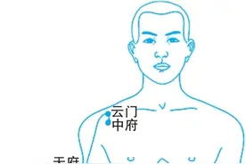 肺经——反映肺脏功能的正常与否，还能起到保健和治疗的作用！图片