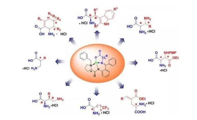 人体必需氨基酸有哪些及记忆方法
