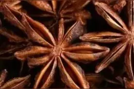 “八角香料的魅力”图片