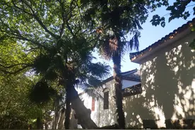 芜湖这座百年历史建筑复活了图片