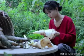 谭警官被起诉、李子柒停更、疯产姐妹消失，千万网红得罪谁了？图片