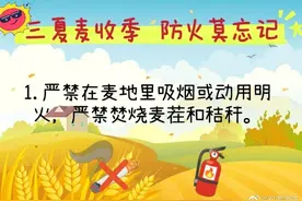 【夏季收麦防火莫忘】图片