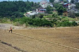 2022年农村土地征收补偿多少钱一亩？按户还是按人头进行补偿？图片