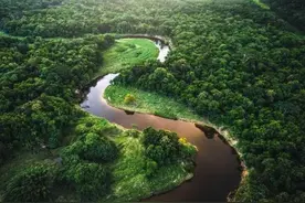 亚马逊河和长江相比厉害在哪？为什么说它可怕，没人敢下水游泳？图片