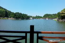 细说散步养生（一）图片