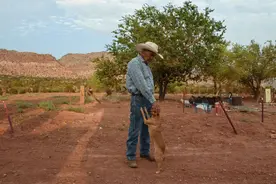 大事不好！美国千年不遇的大干旱仍在继续，或致美国出现粮食危机图片