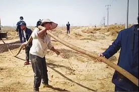 万亩林场主“跪地求水”之后图片