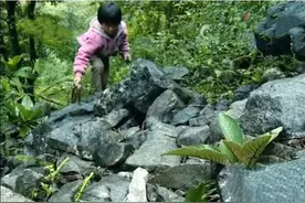 父母离婚遗弃女儿，被外公收养，寒冬屋漏火烤被，弃女艰辛上学路图片