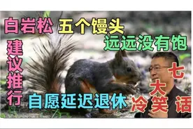 五个馒头没吃饱，白岩松又建议自愿延迟退休。最好笑的七个冷笑话图片