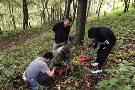 《品牌吉林》之“长白山人参”图片